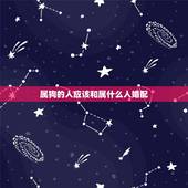属狗的人应该和属什么人婚配，属狗人的婚配适合什么属相