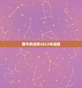 属牛的运势2022年运程，2021年属牛的运势和财运