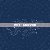 龙蛇生什么属相宝宝好，属虎兔龙蛇的四属象组成一家人好吗’