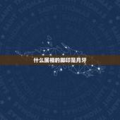 什么属相的脚印是月牙，十二生肖哪只脚印是月牙
