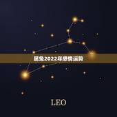 属兔2022年感情运势，2023年属兔人的全年运势