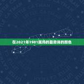 在2021年1981属鸡的最忌讳的颜色，2021属鸡的幸运颜色