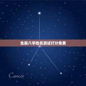 生辰八字姓名测试打分免费，姓名测试打分生辰八字王紫宇