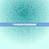 今年老鼠和马的属相婚配，1990年属马的和什么属相结婚合适
