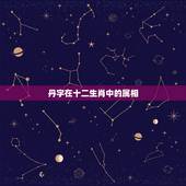 丹字在十二生肖中的属相，玄机字丹在十二生肖里指哪个生肖