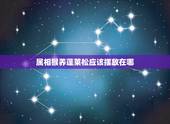 属相猴养蓬莱松应该摆放在哪，属猴人适合养什么植物吉利