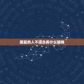 属鼠的人不适合养什么植物，属鼠的种什么花最合适