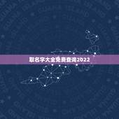取名字大全免费查询2022