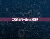 二月的蛇和十月的蛇相配吗，属蛇人不同月份生肖配对
