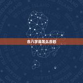合八字是怎么合的，八字中的合是什么