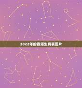 2022年的香港生肖表图片，2022 年香港正宗12生肖表图片