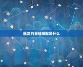 属龙的更佳婚配是什么，男属龙更佳配偶是什么