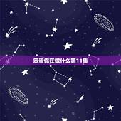 笨蛋你在做什么第11集，谜底是：你是我的笨蛋，谜语是什么