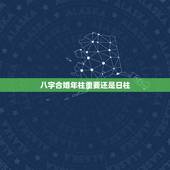 八字合婚年柱重要还是日柱，有没有哪位高人解释下八字中“婚配双方的年柱与