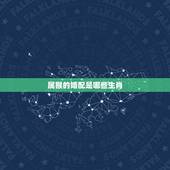 属猴的婚配是哪些生肖，属猴的女生和什么属相最配？