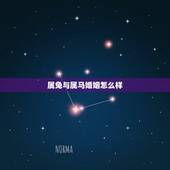 属兔与属马婚姻怎么样，属兔2022 年运势及运程