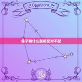 兔子和什么属相配对不配，兔年跟什么属相相配