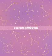 2022年男孩虎宝宝名字，2022年虎宝宝取名大全