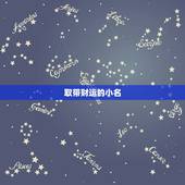 取带财运的小名，给一只黑色的导盲犬取一个招财的名字