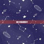 缘分相遇图片，什么样的相遇才叫缘分？
