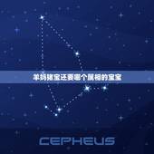 羊妈猪宝还要哪个属相的宝宝，爸爸属羊妈妈属猪生个什么宝宝好？