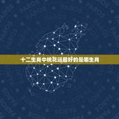 十二生肖中桃花运最好的是哪生肖，桃花、代表什么生肖