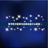 君子有三宝骑马去孤岛是什么属相，君子有三宝 骑马去孤岛 猜生肖。并解释