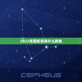 2022年属蛇忌讳什么颜色，2022年属兔幸运色