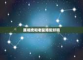 属相虎和老鼠婚配好吗，属鼠男孩1996年的和1995年的属虎女孩可以婚