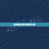 属相相冲会互相吸引吗，属相相冲会互相吸引吗
