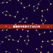 属猪的今年多大了2022年，2022犯太岁的生肖