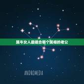 属牛女人最适合哪个属相的老公，属牛生肖配偶与谁最合适