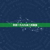 农历一九七九年二月属相，阴历一九七九年十二月二十一阳历是一九八零年二月
