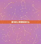 属马的上等婚配是什么，属马的和什么属相最配