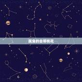 属兔的自带桃花，属兔人适合哪个省