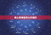 晚上有老鼠怎么吓跑它，晚上有老鼠关灯还是开灯