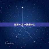 阴历12月16属相什么，公历1991年农历12月16日属相是什么？