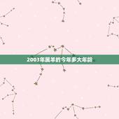 2003年属羊的今年多大年龄，2003年今年满18周岁了吗