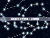 袁弘和张歆艺是什么属相星座，袁弘和张歆艺是荧幕夫妻吗？