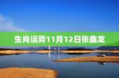 生肖运势11月12日张鑫龙，11月11日属马运势张鑫龙