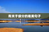 有关于缘分的唯美句子，有关缘分的唯美句子