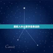 属蛇人什么数字是幸运的，十二生肖的吉利数字