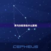 男马女蛇忌生什么属相，男马女蛇是越来越富