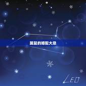 属鼠的婚配大忌，属鼠的婚配什么属相