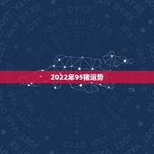 2022年95猪运势，1983年属猪男2022年每月运势？