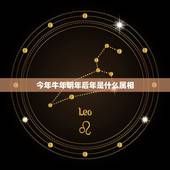 今年牛年明年后年是什么属相，牛年之后是什么年？