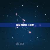 属鼠的和什么相配，属鼠的跟什么属相合