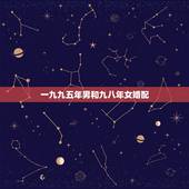 一九九五年男和九八年女婚配，汤勇男一九八八年，李佳女一九九五年合婚