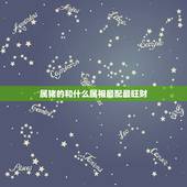 属猪的和什么属相最配最旺财，属猪女与什么属相最配对