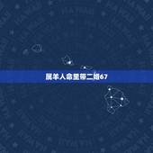 属羊人命里带二婚67，1975每属兔一生有二婚